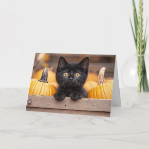 Pumpkin Patch Kitten Card