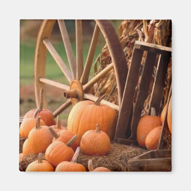 Pumpkin Patch Magnet (Front)