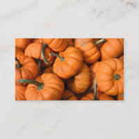Pumpkin Patch Orange Harvest Garden Gourds Photo