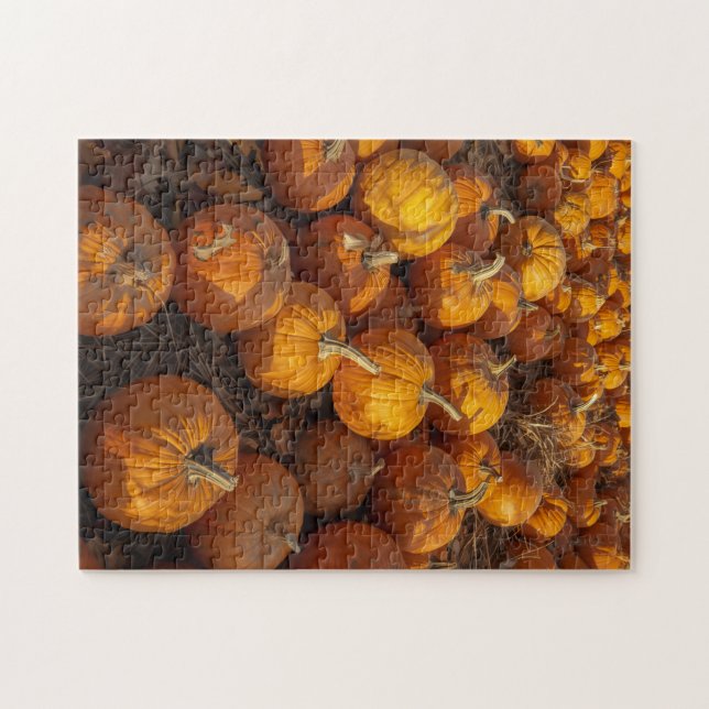 pumpkin patch puzzle (Horizontal)