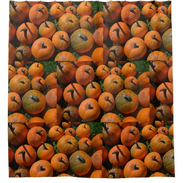 Pumpkin Patch Shower Curtain (Front)