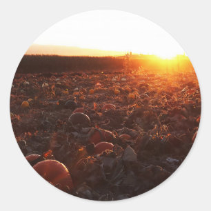 Pumpkin Patch Sunset B Classic Round Sticker