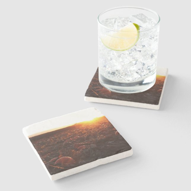 Pumpkin Patch Sunset B Stone Coaster (Side)