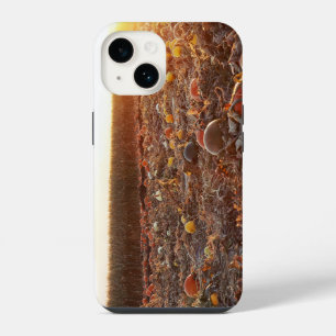 Pumpkin Patch Sunset C iPhone 14 Case