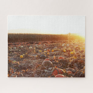 Pumpkin Patch Sunset C Jigsaw Puzzle