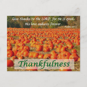 Pumpkin Patch - Thankfulness Postcard