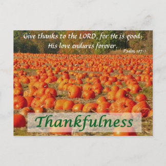 Pumpkin Patch - Thankfulness Postcard
