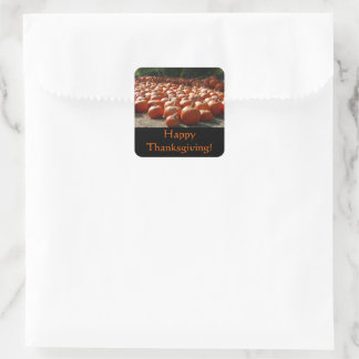 Pumpkin Patch Thanksgiving Sticker