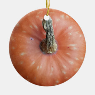 Pumpkin Photo Ceramic Tree Decoration