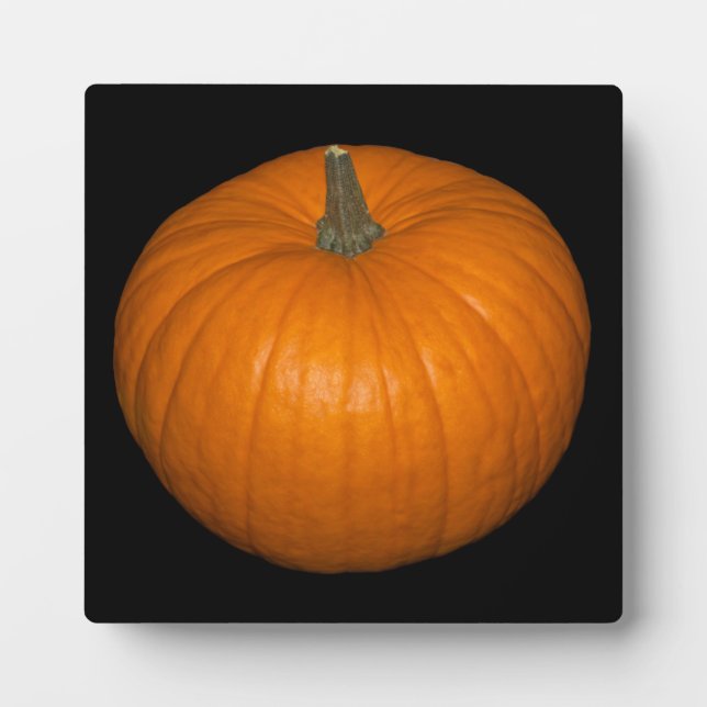Pumpkin Photo on Black Background Plaque (Front)
