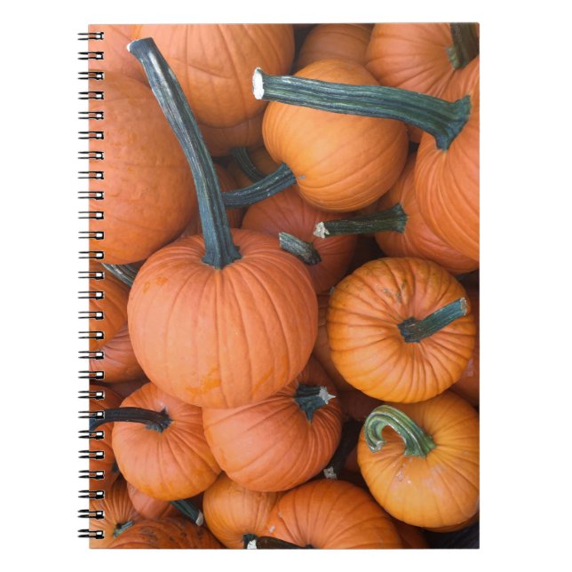 Pumpkin Pile! Spiral Notebook (Front)