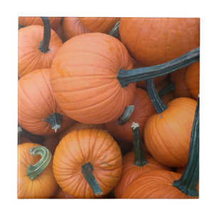Pumpkin Pile! Tile