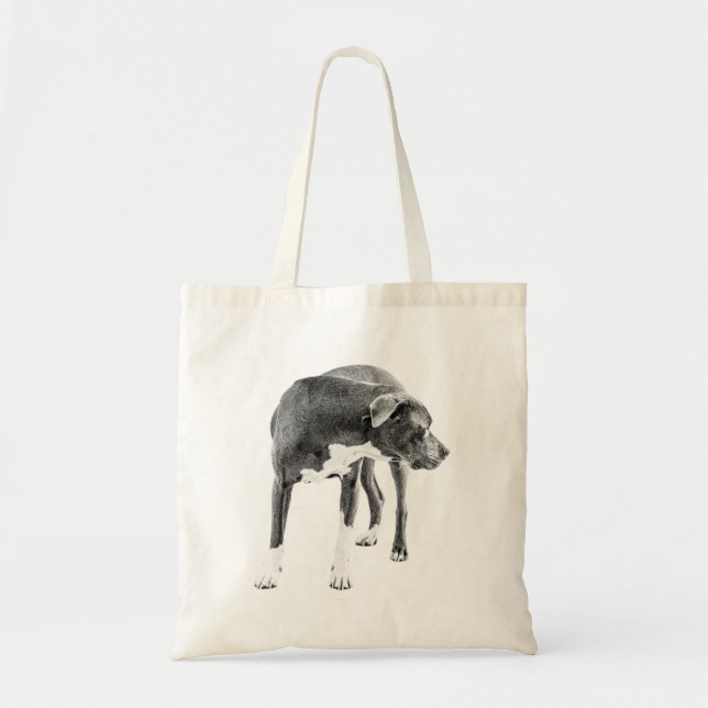 Pumpkin Row Lookback Tote Bag (Front)