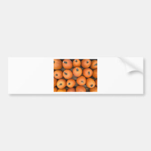 Pumpkin Rows Bumper Sticker
