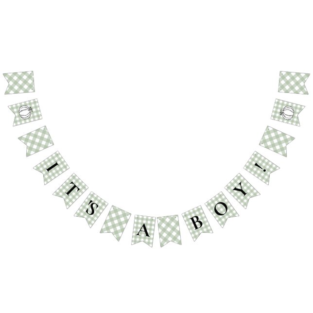 Pumpkin Sage Green Gingham It's A Boy Baby Shower Bunting (All)