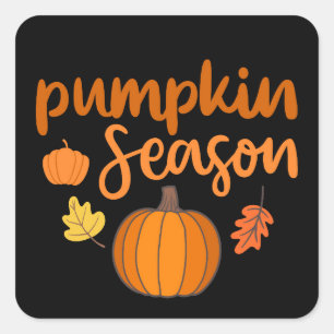 Pumpkin Season Fall Square Sticker