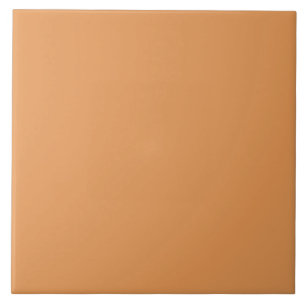 Pumpkin Spice Color   #E69855  Tile