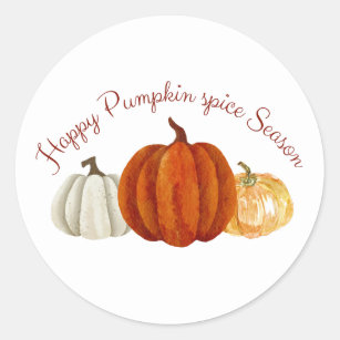 Pumpkin Spice Season cute pumpkin for Autumn lover Classic Round Sticker