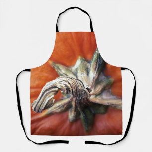 Pumpkin Spiral Apron