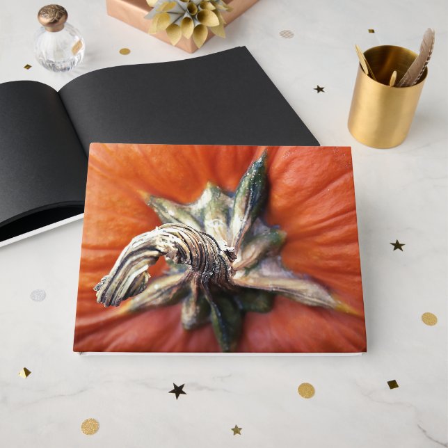Pumpkin Spiral  Guest Book (Front Open)
