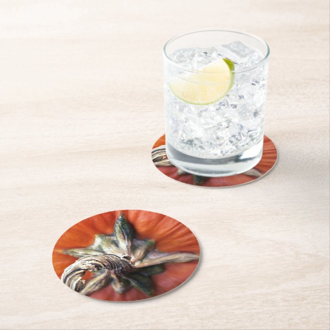 Pumpkin Spiral Paper Coaster (Insitu)