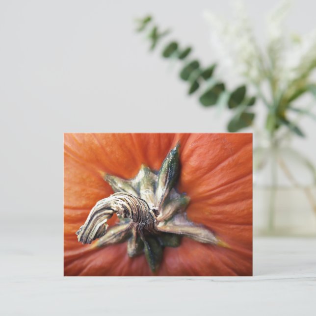 Pumpkin Spiral  Postcard (Standing Front)