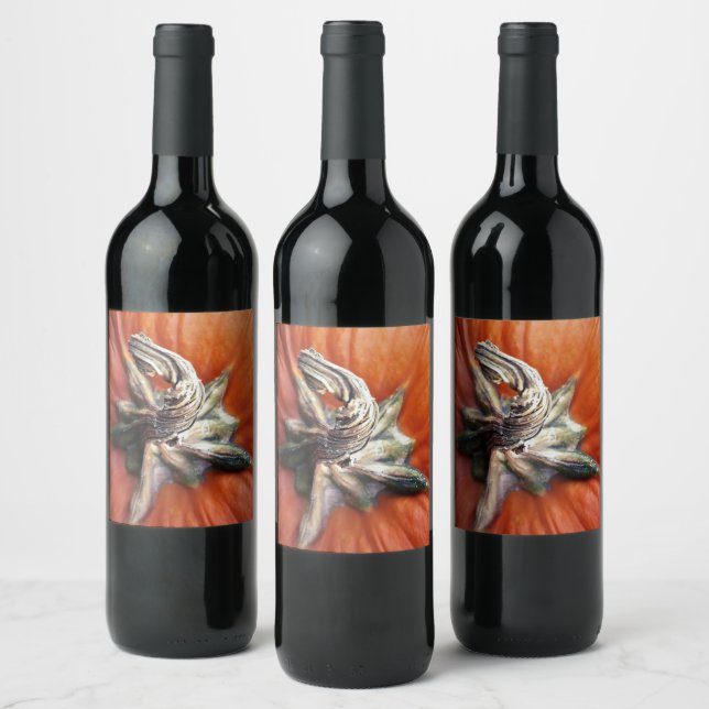 Pumpkin Spiral  Wine Label (Bottles)