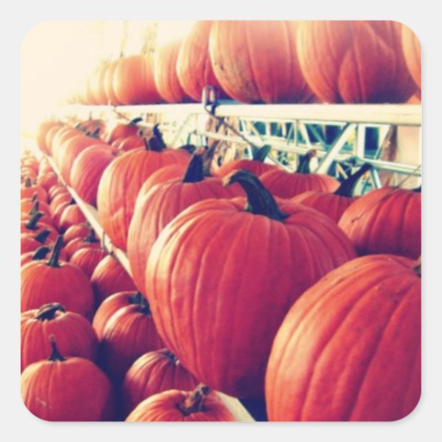 Pumpkin Sticker (Front)