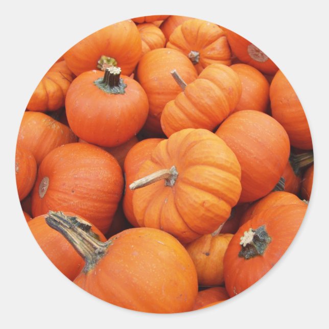 Pumpkin Sticker (Front)