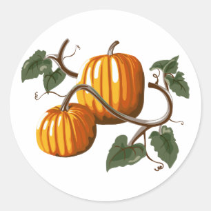 Pumpkin Vine Pumpkins Sticker