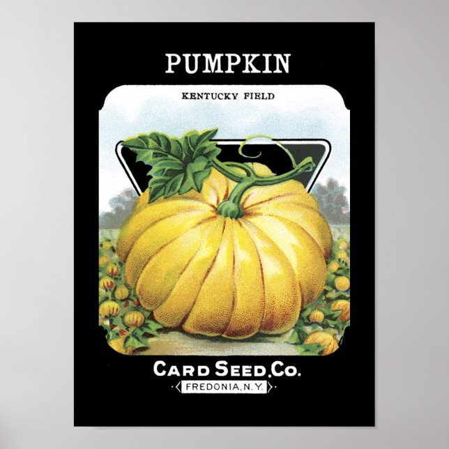 Pumpkin Vintage Seed Packet Poster (Front)