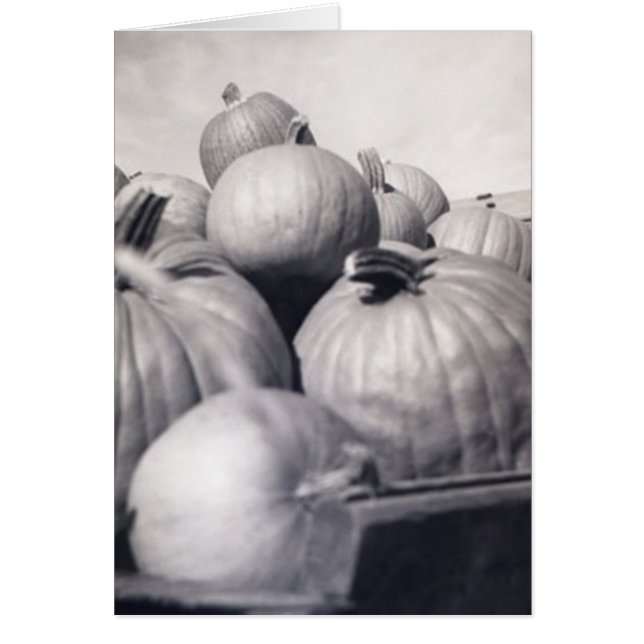 Pumpkin Wagon (Front)