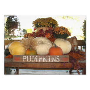 Pumpkin Welcome Print