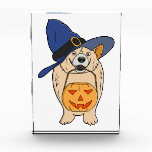 Pumpkin Witch Dog Photo Block