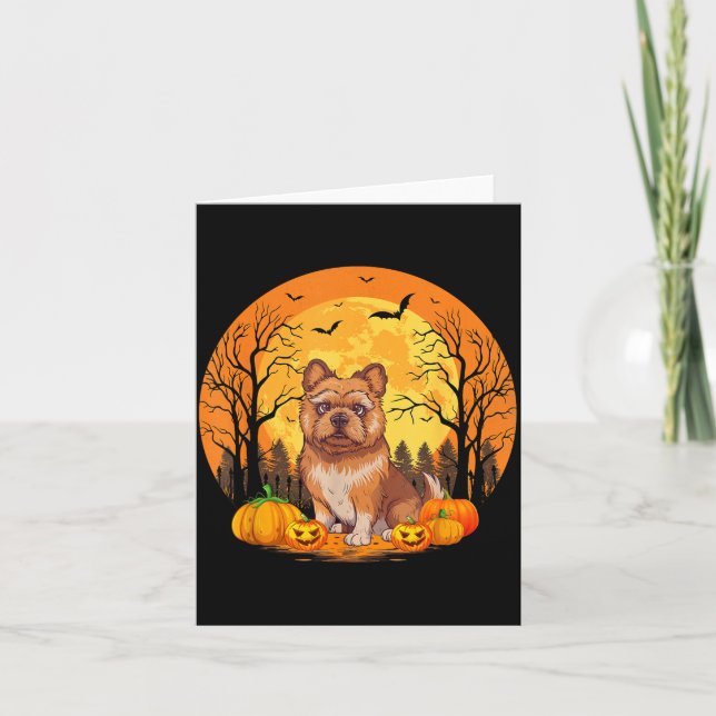 Pumpkin With Funny Halloween Costume Brussels Card (Front)