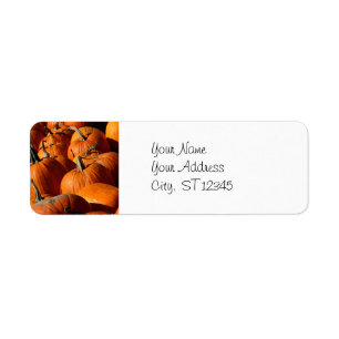 Pumpkins Address Label