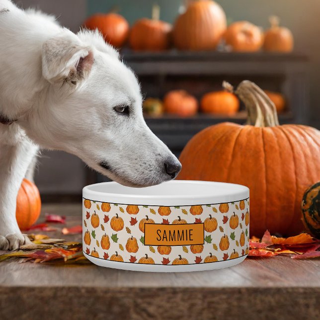 Pumpkins And Colorful Autumn Leaves Pattern & Name (Creator Uploaded)