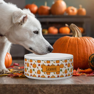 Pumpkins And Colourful Autumn Leaves Pattern & Nam