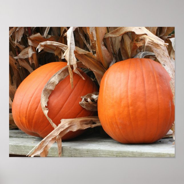 Pumpkins And Dried Corn Stalks Autumn Poster (Front)