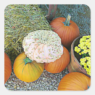 Pumpkins and Hay Bale Halloween Stickers