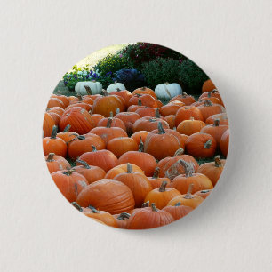 Pumpkins and Mums Autumn Harvest Photography 6 Cm Round Badge