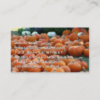 Pumpkins and Mums Autumn Harvest Photography