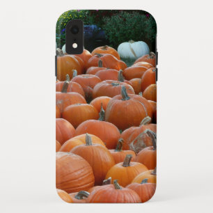 Pumpkins and Mums Autumn Harvest Photography Case-Mate iPhone Case