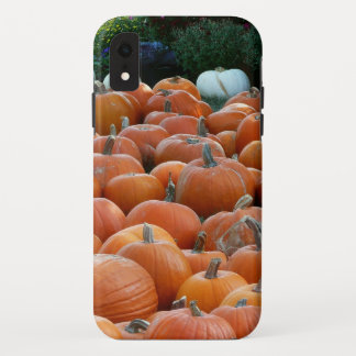 Pumpkins and Mums Autumn Harvest Photography Case-Mate iPhone Case