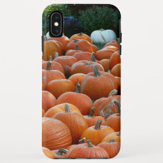Pumpkins and Mums Autumn Harvest Photography Case-Mate iPhone Case