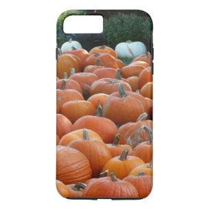 Pumpkins and Mums Autumn Harvest Photography Case-Mate iPhone Case