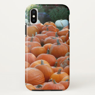 Pumpkins and Mums Autumn Harvest Photography Case-Mate iPhone Case