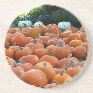 Pumpkins and Mums Autumn Harvest Photography Coaster