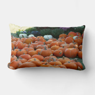Pumpkins and Mums Autumn Harvest Photography Lumbar Cushion