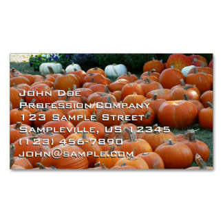 Pumpkins and Mums Autumn Harvest Photography Magnetic Business Card